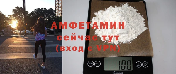 хмурый Алзамай