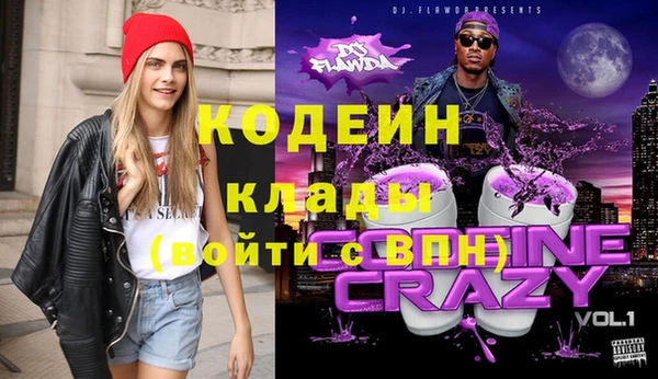хмурый Алзамай
