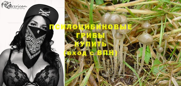 спиды Навашино