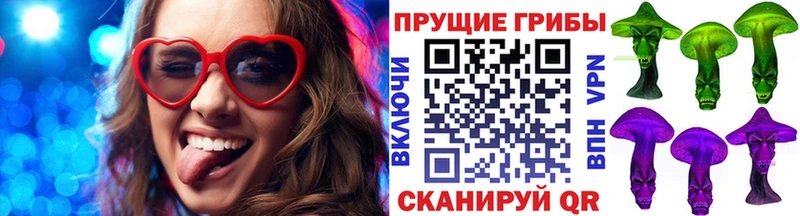 купить наркотики сайты  Солнечногорск  Галлюциногенные грибы GOLDEN TEACHER 